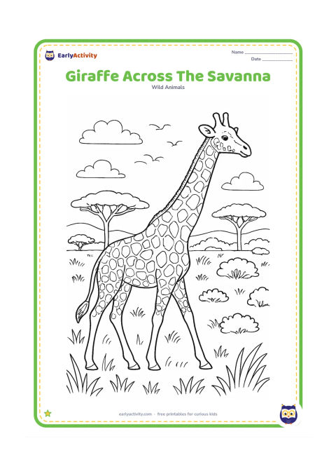 Colouring page: A giraffe walks through a detailed savanna panorama with layered grass, acacia trees, distant hills, clouds, flying birds and scattered bushes. Show the animal in full profile with a…