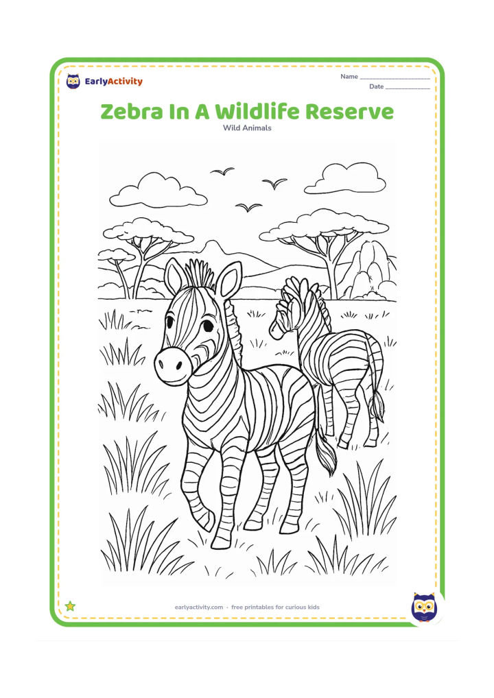Colouring page: Draw two zebras walking through a protected grassland reserve, one looking toward the viewer and one facing away. Include layered tall grasses, an acacia grove, a rocky outcrop, distant…