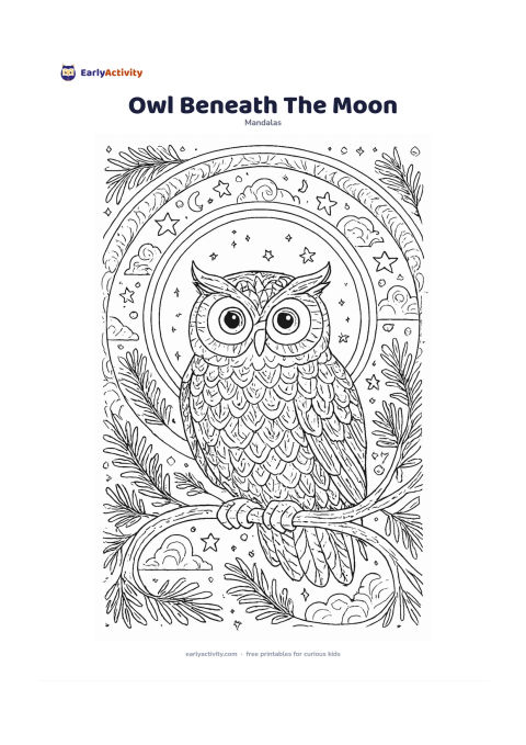 Colouring page: Show a wide-eyed owl perched centrally on a curved branch beneath a large round moon. Arrange concentric rings of feathers, stars, crescent shapes, pine needles, and quiet clouds around…
