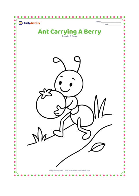 Colouring page: A happy ant carries a large round berry along a short trail. Include two simple grass blades and a small leaf on the ground.