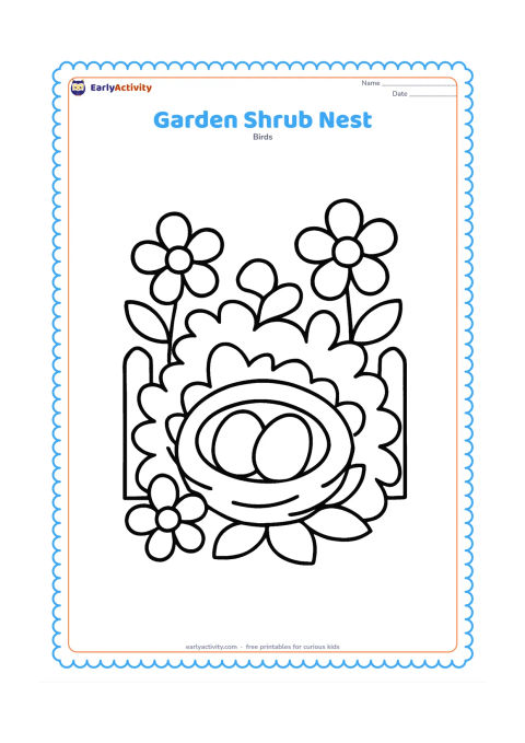 Colouring page: A round nest is tucked inside a flowering garden shrub with two eggs visible. Include a simple fence and a few large flowers in the background.
