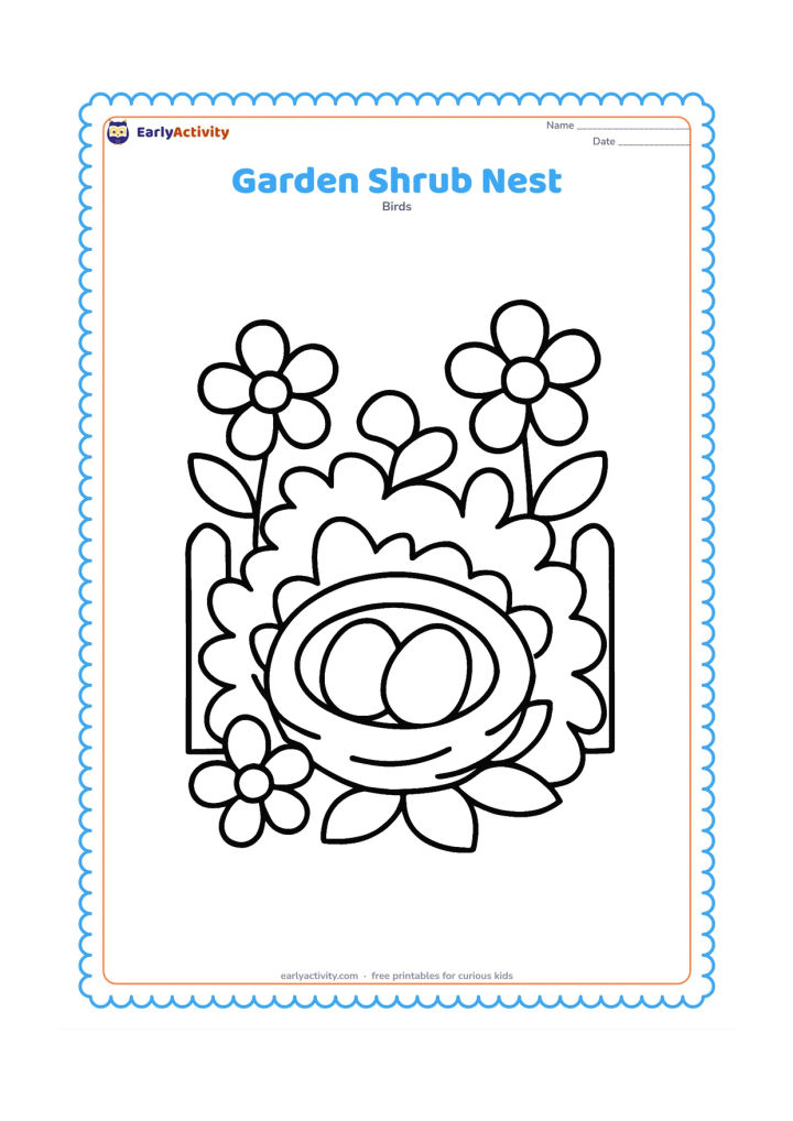 Colouring page: A round nest is tucked inside a flowering garden shrub with two eggs visible. Include a simple fence and a few large flowers in the background.