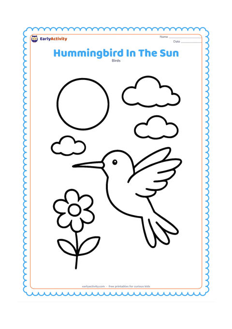Colouring page: A hummingbird flies beneath a large round sun with a few soft clouds. Show its wings spread, tail feathers separated, and one simple flower below.