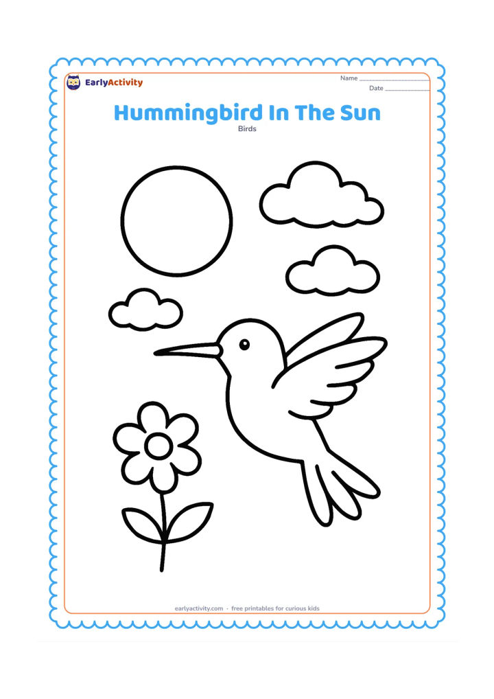 Colouring page: A hummingbird flies beneath a large round sun with a few soft clouds. Show its wings spread, tail feathers separated, and one simple flower below.