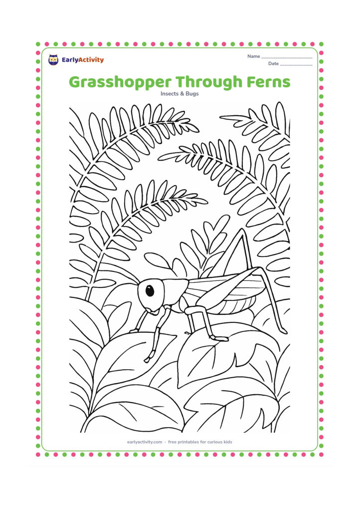 Colouring page: Draw a grasshopper moving through layered fern fronds and broad forest-floor leaves, with its antennae reaching forward and one hind leg lifted over a leaf edge.