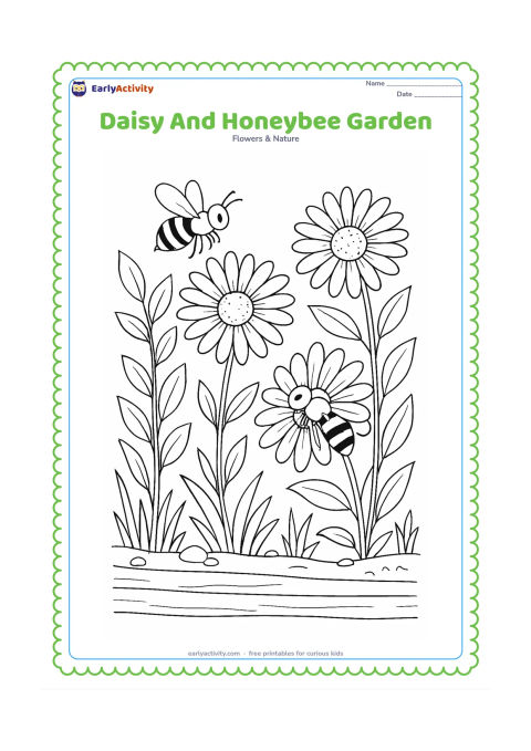 Colouring page: Draw several daisies with honeybees visiting their centres, surrounded by leaves, grass, small stones and a wooden garden border. Show one bee in flight and another resting on a petal.