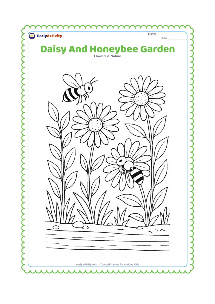 Colouring page: Draw several daisies with honeybees visiting their centres, surrounded by leaves, grass, small stones and a wooden garden border. Show one bee in flight and another resting on a petal.
