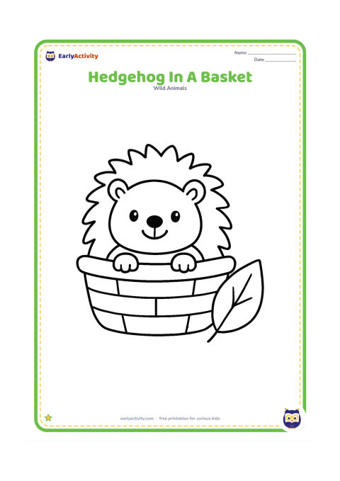 Colouring page: Draw a small hedgehog sitting in a wide, shallow garden basket with its head and front paws over the rim. Add one large leaf beside the basket.