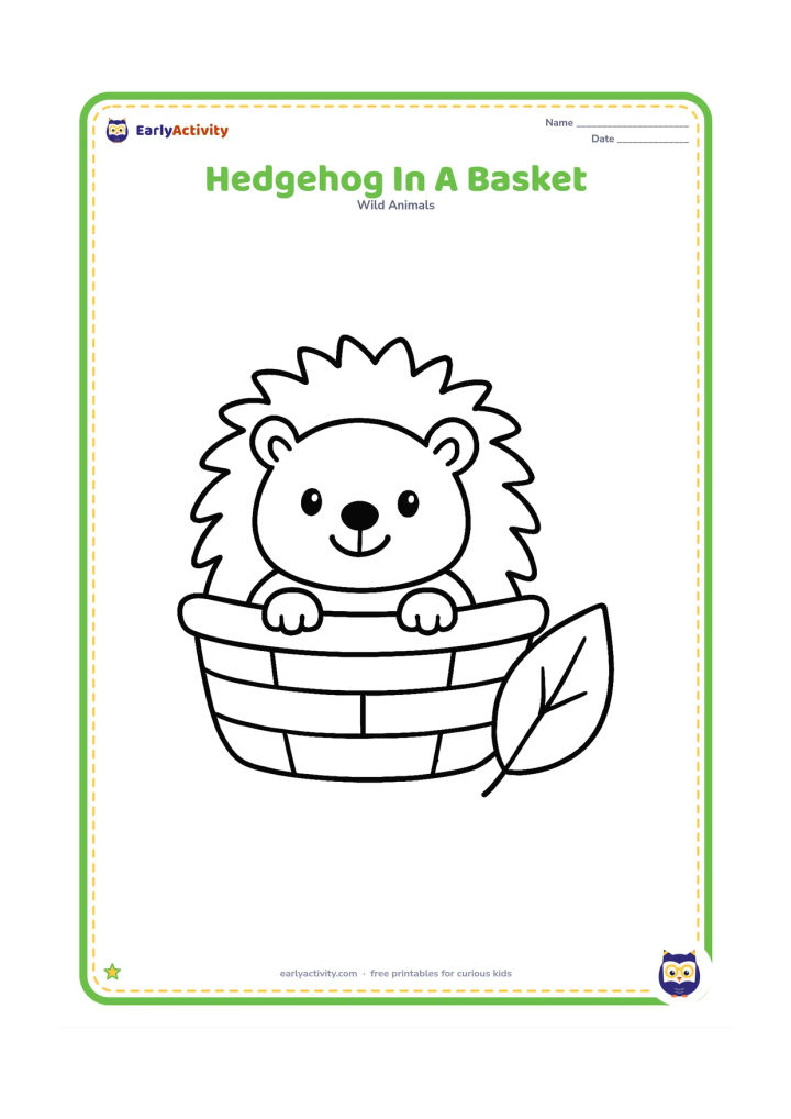 Colouring page: Draw a small hedgehog sitting in a wide, shallow garden basket with its head and front paws over the rim. Add one large leaf beside the basket.