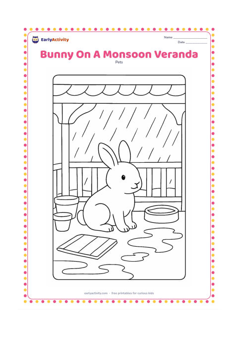 Colouring page: Draw a pet bunny sitting safely on a covered Indian veranda while rain falls beyond the railing. Include clay plant pots, a folded mat, a raised water bowl, and puddles visible outside.