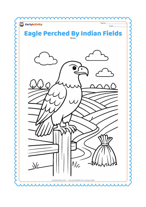 Colouring page: Draw an eagle perched on a wooden fence post overlooking neat Indian farm fields, a small water channel and a distant line of trees. Include a simple hay bundle near the fence.