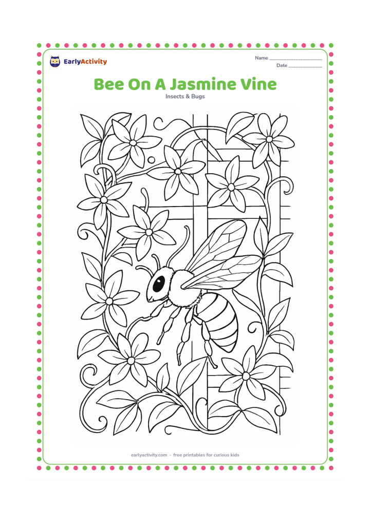 Colouring page: A bee crawls along a jasmine vine covered with star-shaped flowers and curling tendrils, with a garden trellis behind it. Show the bee's wings, antennae, legs and striped abdomen in detail.