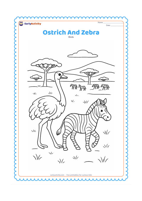 Colouring page: An ostrich walks beside a calm zebra in open African grassland, with a small herd of zebras far in the background, acacia trees and layered hills. Keep the ostrich largest and closest.