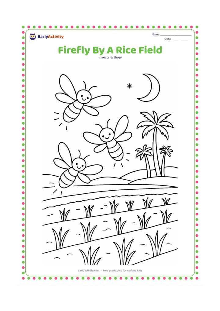 Colouring page: Draw three fireflies above the edge of an Indian rice field, with rows of short plants, a narrow bund, distant palms, and a warm evening sky with a crescent moon.