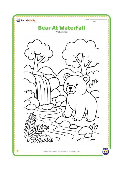 Colouring page: A bear stands beside a small waterfall flowing into a pool, surrounded by rocks, ferns, moss, and two trees.