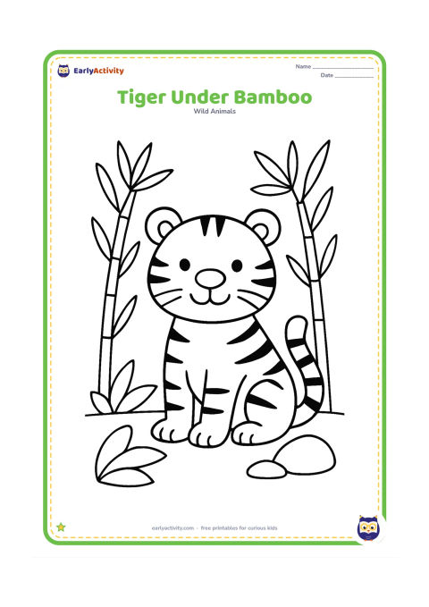 Colouring page: A friendly tiger sits beneath two tall bamboo plants, facing forward with its tail curled beside its feet. Include a few large leaves and a smooth rock.