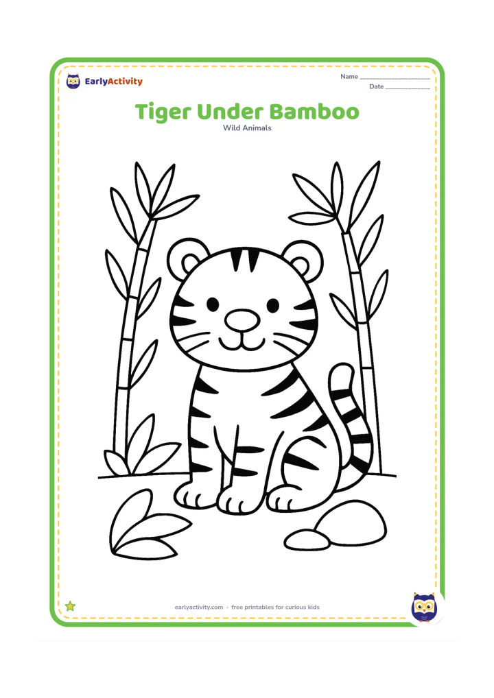 Colouring page: A friendly tiger sits beneath two tall bamboo plants, facing forward with its tail curled beside its feet. Include a few large leaves and a smooth rock.