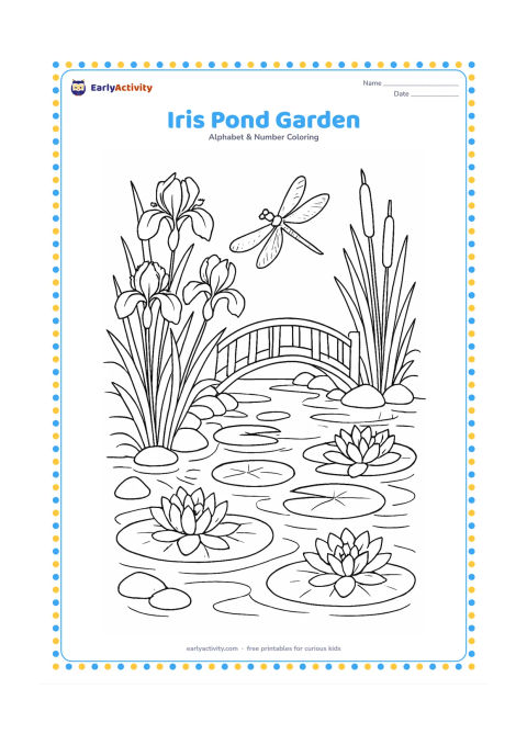 Colouring page: Draw a detailed pond garden filled with iris flowers, lily pads, reeds, stones, a dragonfly, and a small arched bridge. Include reflections in the water as broad curved shapes.