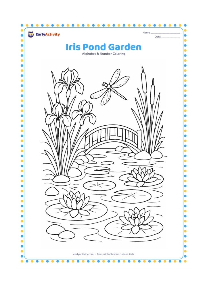 Colouring page: Draw a detailed pond garden filled with iris flowers, lily pads, reeds, stones, a dragonfly, and a small arched bridge. Include reflections in the water as broad curved shapes.