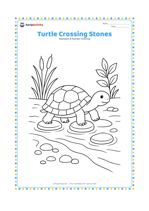 Colouring page: Draw a turtle carefully crossing a shallow stream on three stepping stones, with reeds, smooth pebbles, and a leafy plant along the banks. Show the turtle in side view with a patterned…