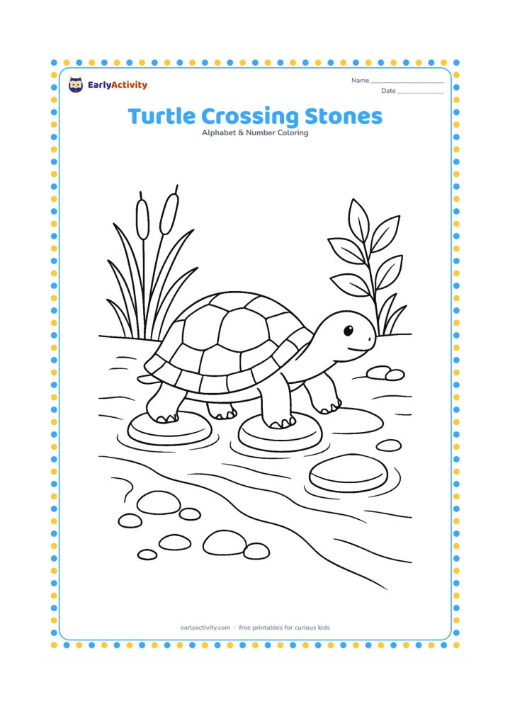 Colouring page: Draw a turtle carefully crossing a shallow stream on three stepping stones, with reeds, smooth pebbles, and a leafy plant along the banks. Show the turtle in side view with a patterned…