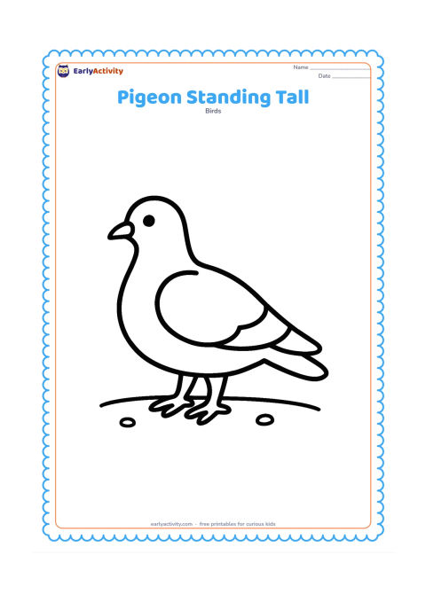 Colouring page: A single pigeon stands facing sideways with its rounded body, small head, short neck, wings, tail, beak, and two feet clearly visible. Place it on a plain patch of ground with only a few…