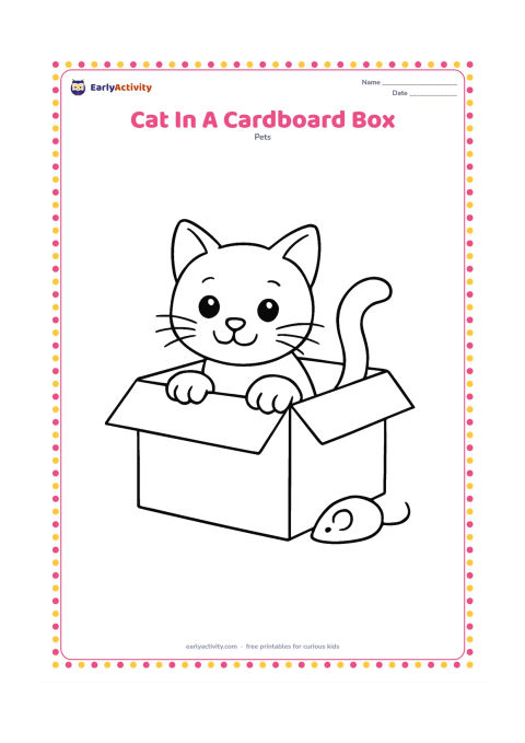 Colouring page: Draw a cat peeking from a low open cardboard box, with both paws over the front edge and its tail curling outside. Add one folded flap and a small toy beside the box.