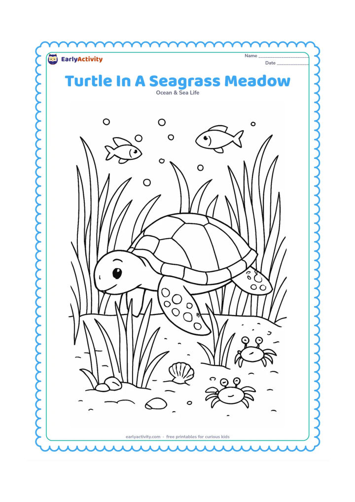 Colouring page: Draw a sea turtle grazing peacefully in a broad seagrass meadow, with long grass blades, a sandy patch, small crabs, shells, fish, and bubbles.