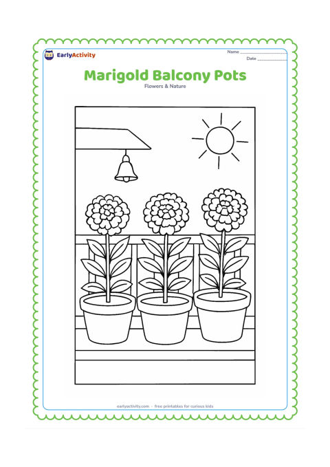 Colouring page: Draw three flowerpots of marigolds arranged along an Indian-style balcony ledge, with a simple railing, a small hanging bell shape and a bright sun. Keep the marigold blooms round and…