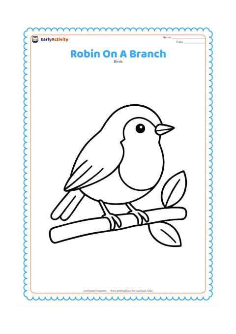 Colouring page: Draw one large familiar European robin perched sideways on a thick garden branch, with a clear round body, orange-red breast area, simple beak, feet and tail. Add only two large leaves…