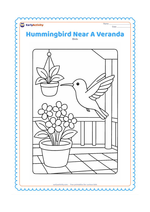 Colouring page: A hummingbird hovers beside potted flowering plants on an Indian veranda, with a simple railing and tiled floor behind it. Include one hanging pot and a few broad leaves.