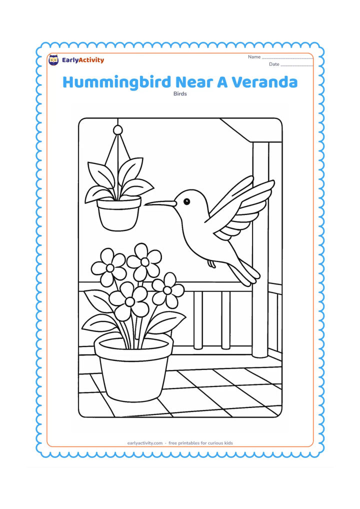 Colouring page: A hummingbird hovers beside potted flowering plants on an Indian veranda, with a simple railing and tiled floor behind it. Include one hanging pot and a few broad leaves.