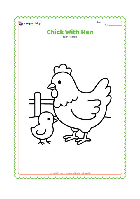 Colouring page: Draw a small chick standing close beside its large hen mother. Place both on a simple farmyard ground line with one fence post in the background.