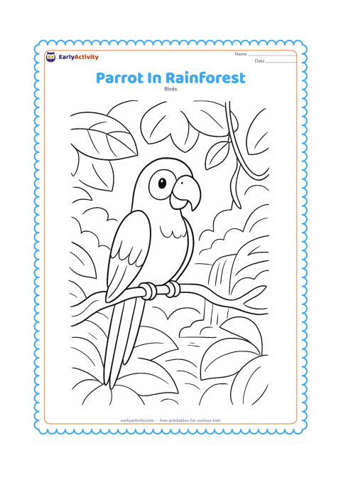 Colouring page: Draw a parrot perched on a twisting branch in a simple rainforest scene with layered broad leaves, a hanging vine, and a small distant waterfall. Keep the bird central and fully visible.