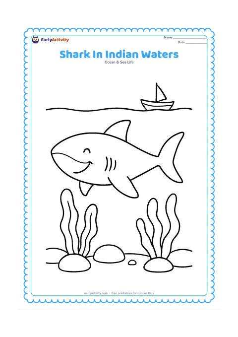Colouring page: A friendly shark swims past broad sea plants and smooth stones near an Indian coastline, with a small traditional fishing boat far above the waterline. Keep the boat simple and distant.