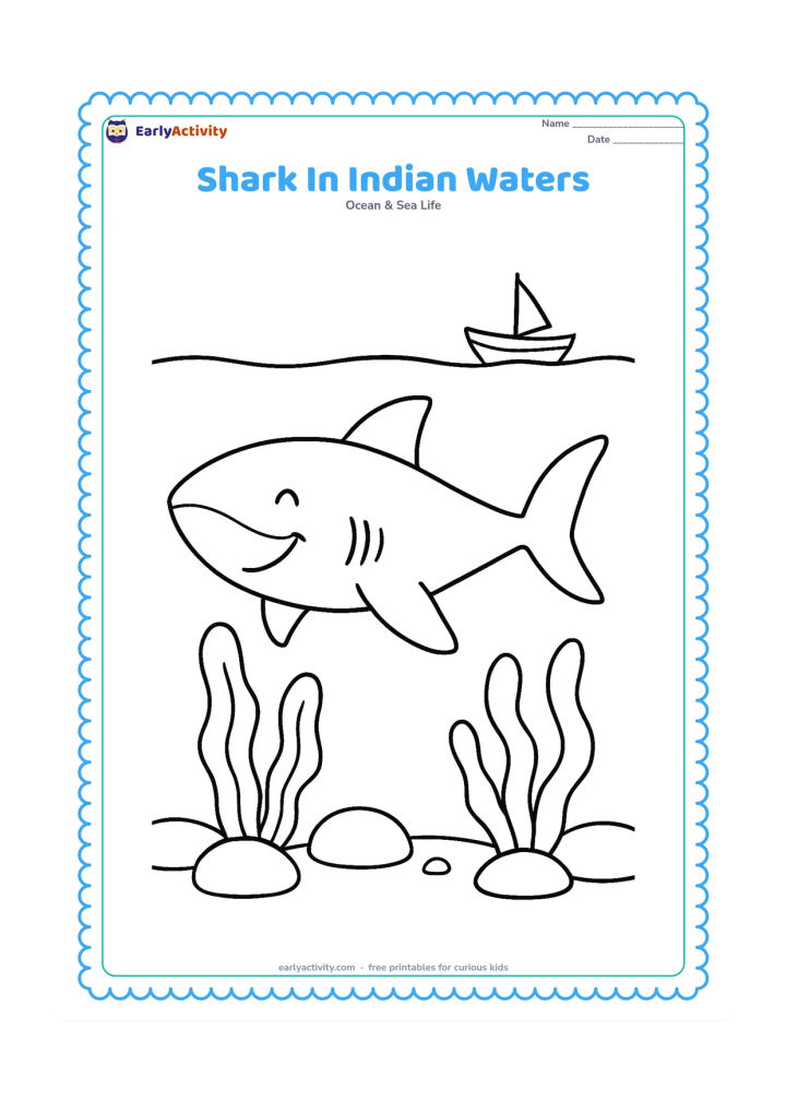 Colouring page: A friendly shark swims past broad sea plants and smooth stones near an Indian coastline, with a small traditional fishing boat far above the waterline. Keep the boat simple and distant.