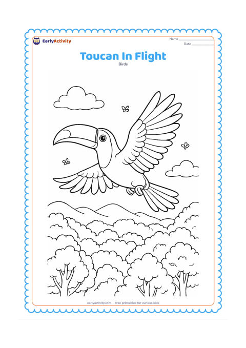 Colouring page: A toucan flies across the page with wings fully spread, showing layered flight feathers, an extended tail, and tucked feet. Below it are varied forest treetops, distant hills, clouds,…
