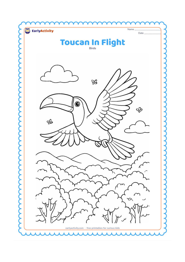 Colouring page: A toucan flies across the page with wings fully spread, showing layered flight feathers, an extended tail, and tucked feet. Below it are varied forest treetops, distant hills, clouds,…