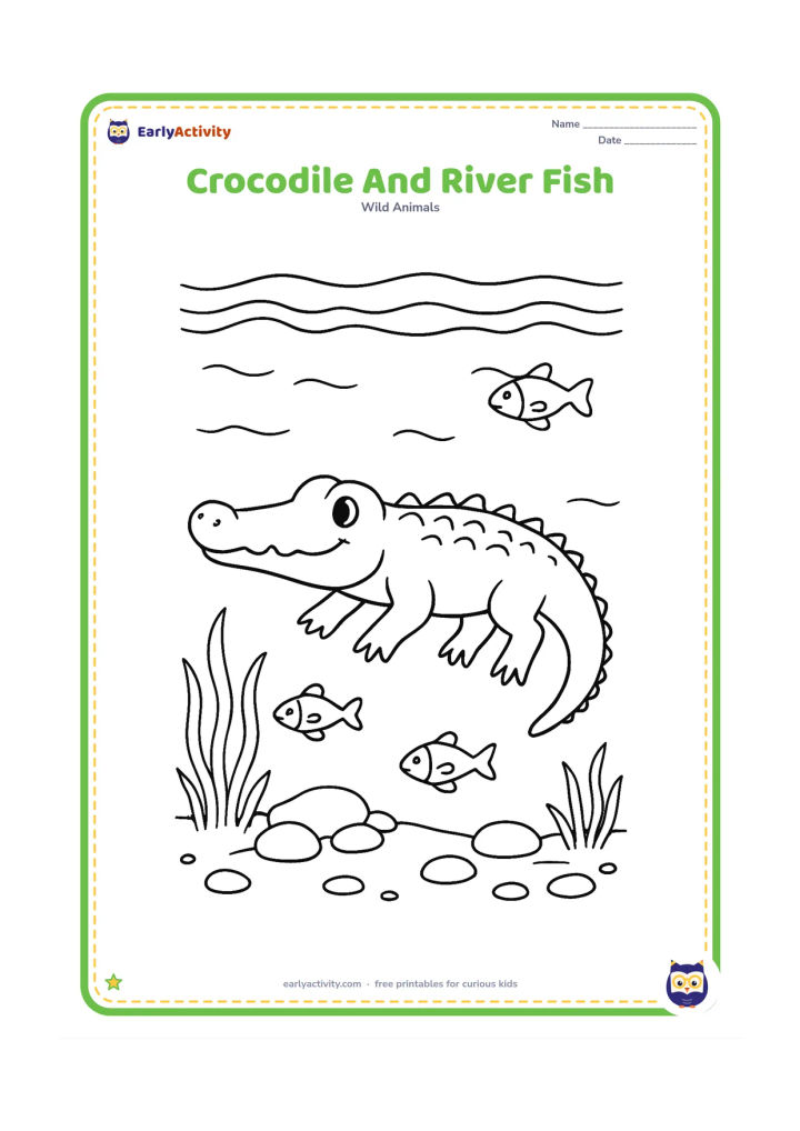 Colouring page: Draw a crocodile moving through clear shallow water with three small fish nearby, underwater grasses, smooth stones, and ripples at the surface. Keep the crocodile's head and back easy…