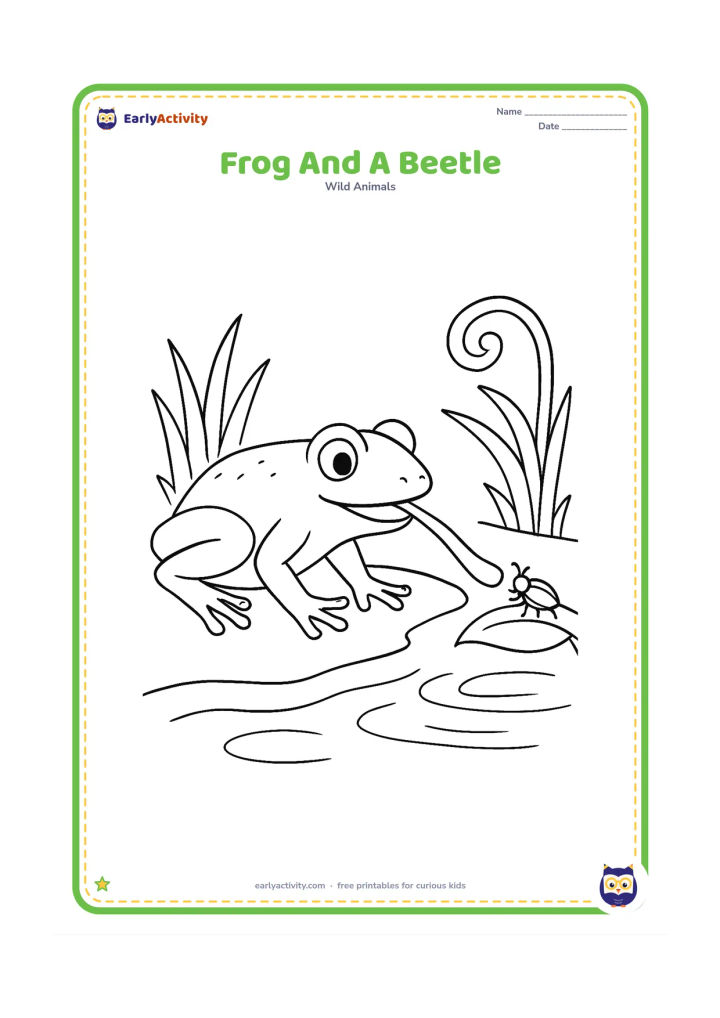 Colouring page: Draw a frog crouching on the pond bank as it reaches its tongue toward a beetle on a nearby leaf. Include grass blades, a curled fern and shallow water with ripples.