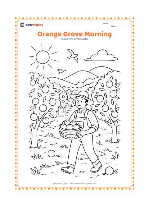 Colouring page: A sunlit orange grove at morning with rows of trees, a farmer carrying a basket, low hills, birds, grass, and oranges at different heights.