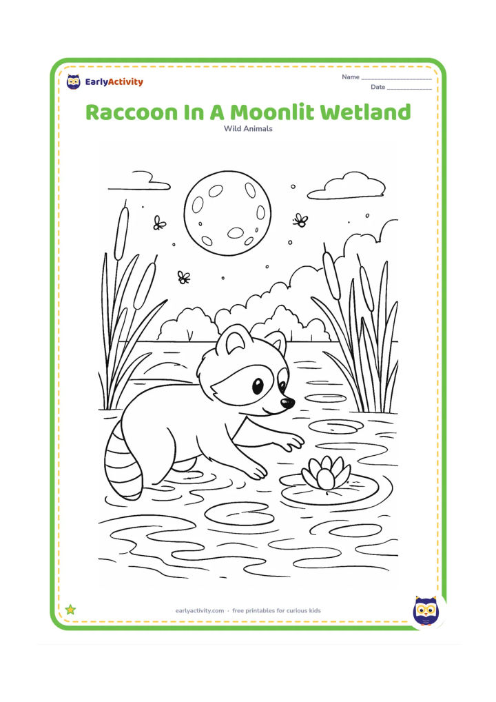 Colouring page: Draw a raccoon wading through a moonlit wetland while reaching toward a floating water plant. Include reeds, lily pads, reflected moonlight, distant trees, fireflies and textured ripples.