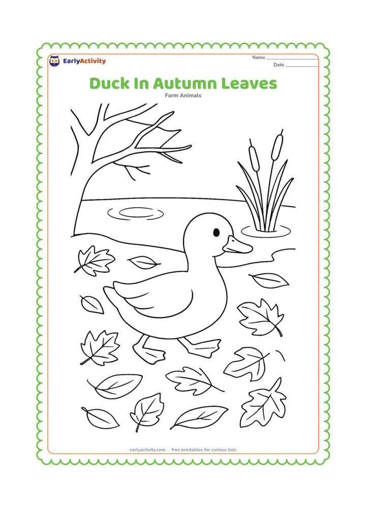 Colouring page: A duck waddles through fallen leaves beside a pond in autumn. Show several different leaf shapes on the ground, a bare branch, reeds and a few water ripples.