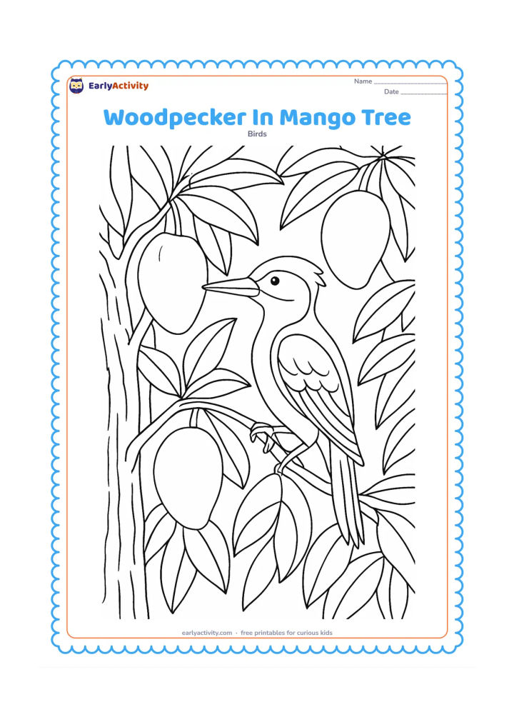 Colouring page: A woodpecker perches among mango tree branches, with several large mangoes and layered leaves around it. Show the bird looking toward one textured patch of bark.