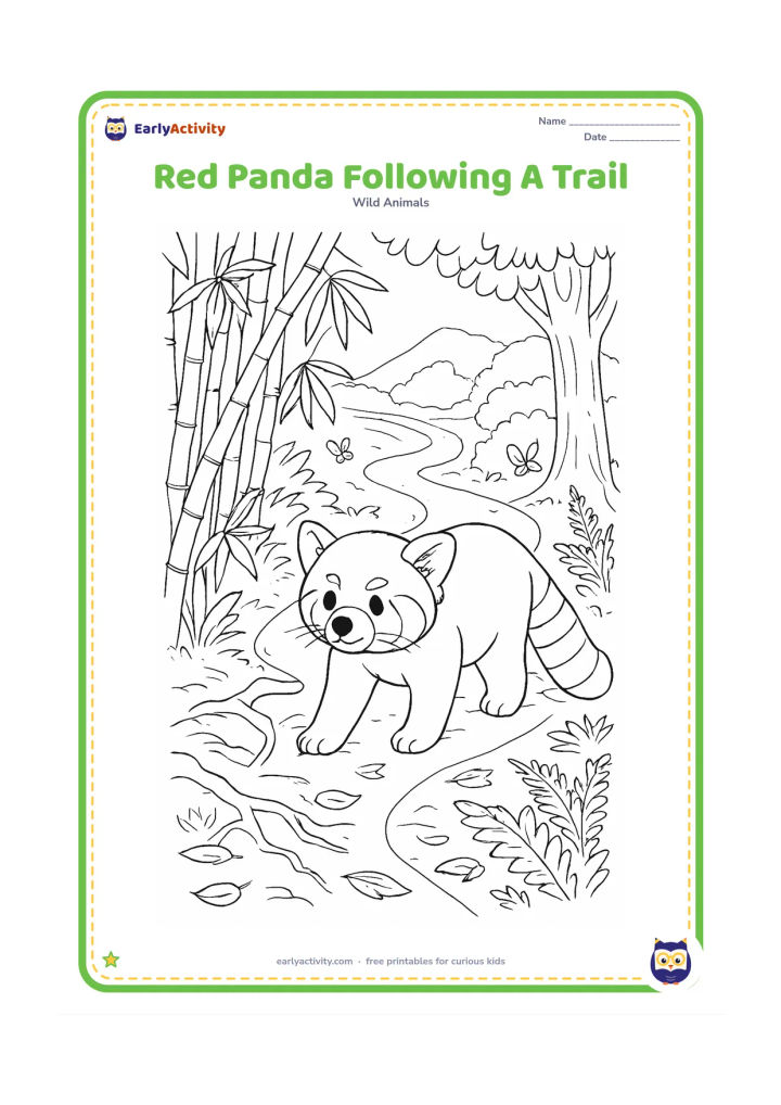Colouring page: Draw a red panda walking along a winding forest trail through bamboo and fallen leaves. Include exposed roots, tree trunks, ferns, distant hills and a few butterflies near the path.