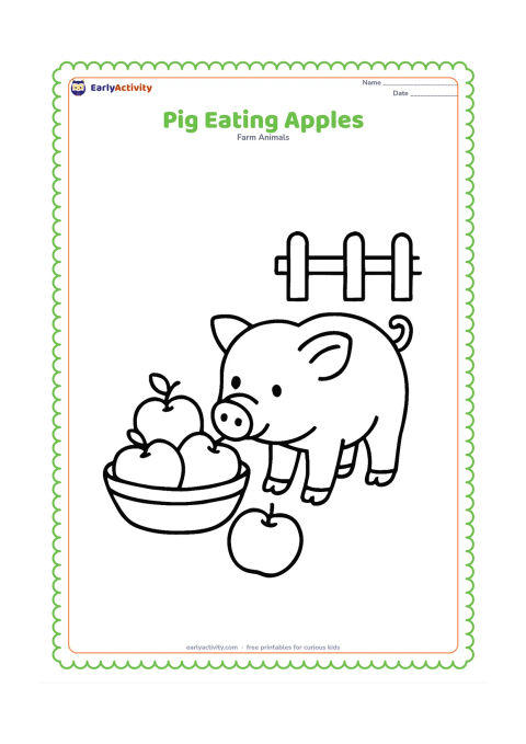 Colouring page: A pig stands beside a shallow basket containing three large round apples and lowers its snout toward one apple on the ground. Add a short fence section in the background.