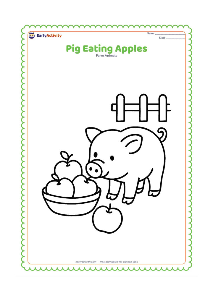 Colouring page: A pig stands beside a shallow basket containing three large round apples and lowers its snout toward one apple on the ground. Add a short fence section in the background.