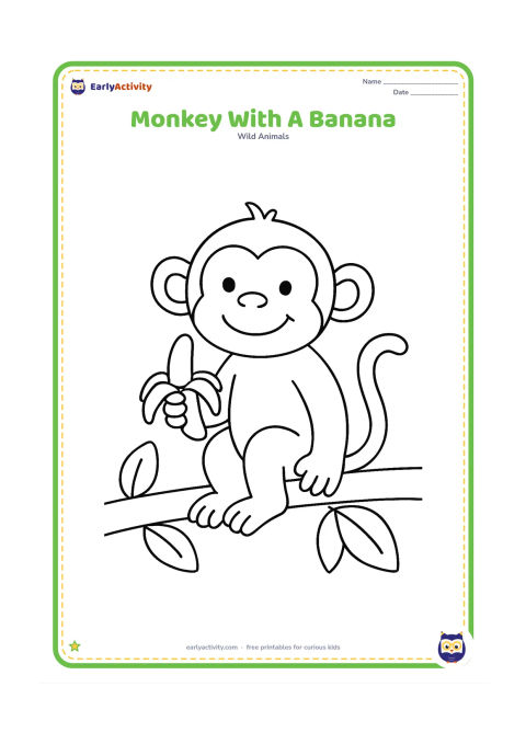 Colouring page: A smiling monkey sits on a low branch while holding a peeled banana. Add one thick branch and a few oversized leaves.