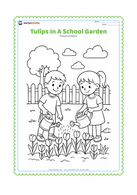Colouring page: Draw two children watering a garden bed filled with tulips beside a simple school garden fence, with a tree, clouds and a small compost pile in the background. Include varied flower…