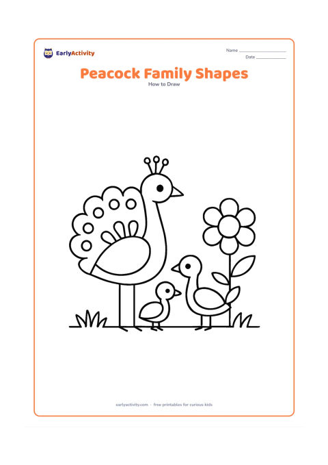 Worksheet: One large adult peacock stands beside two smaller peafowl, all made from simple circles, ovals, curved necks and fan shapes. Place them on a grassy line with one large flower.